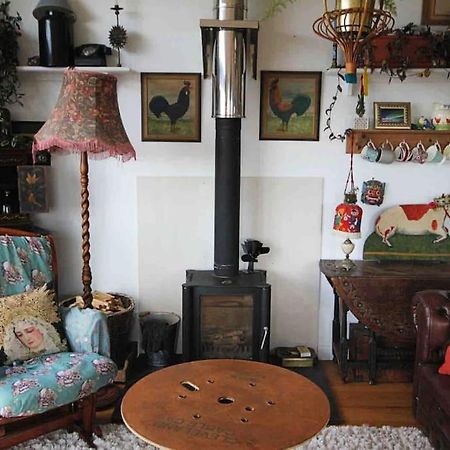 Spacious Cabin On Isolated Farm With Sea View Bude Εξωτερικό φωτογραφία